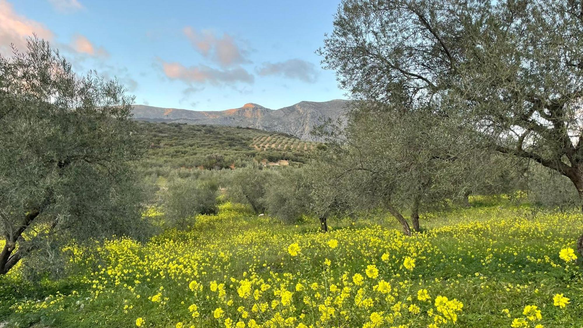 Finca Valle Verde Alora Exteriér fotografie
