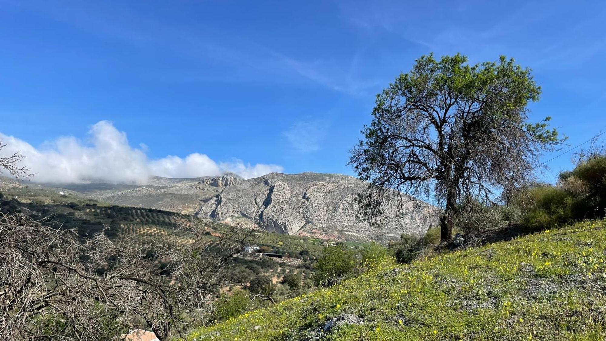 Finca Valle Verde Alora Exteriér fotografie