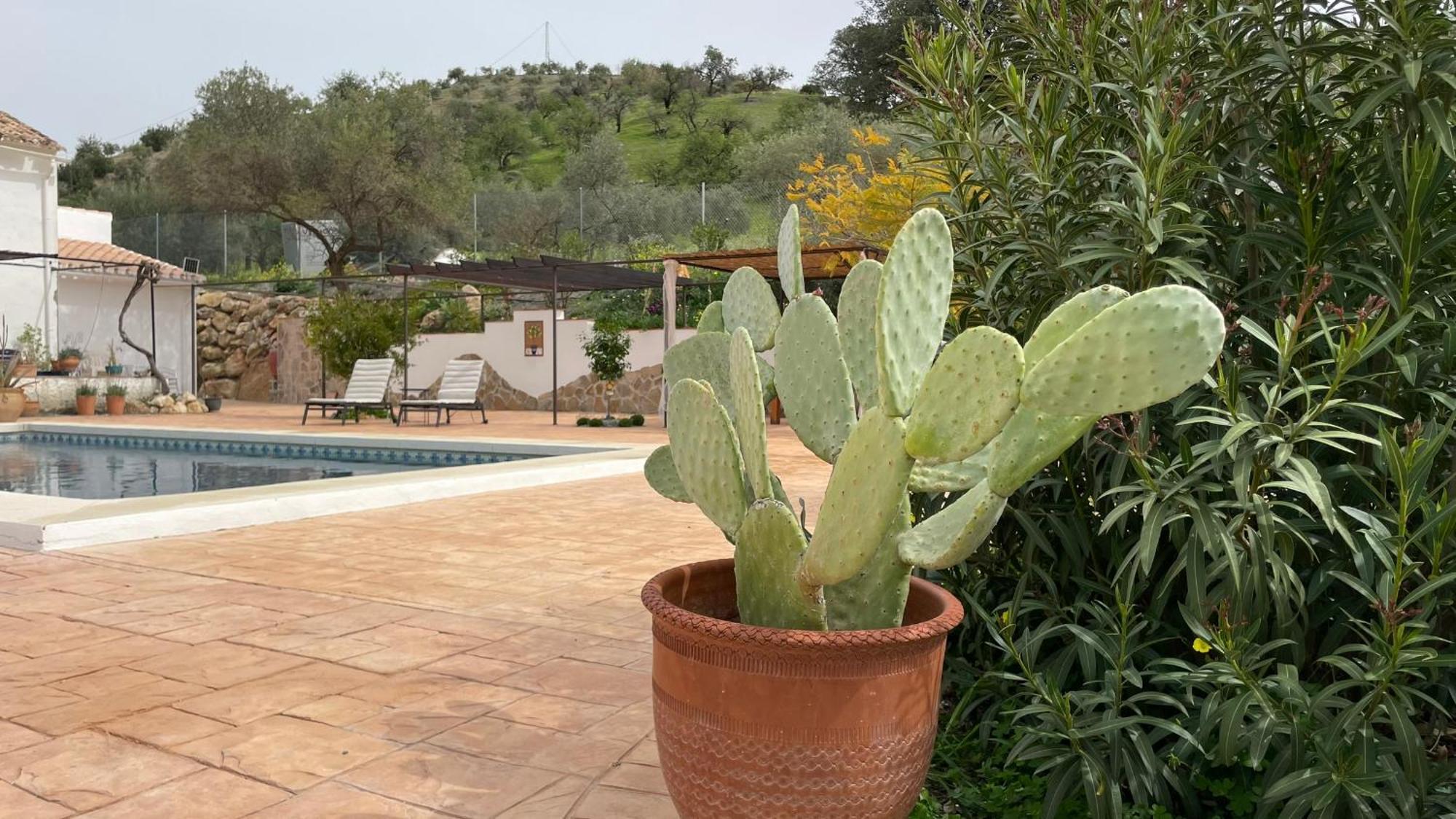 Finca Valle Verde Alora Exteriér fotografie