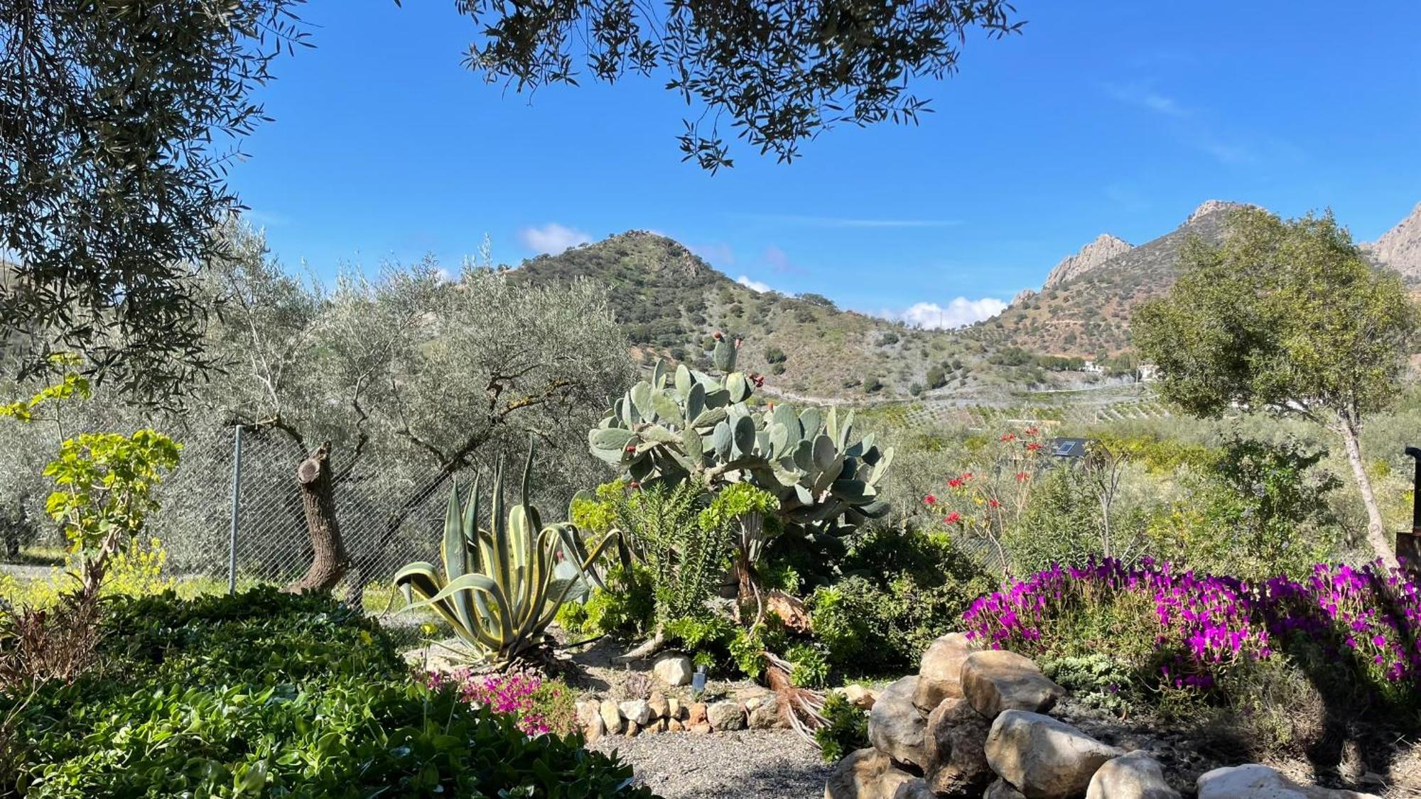 Finca Valle Verde Alora Exteriér fotografie