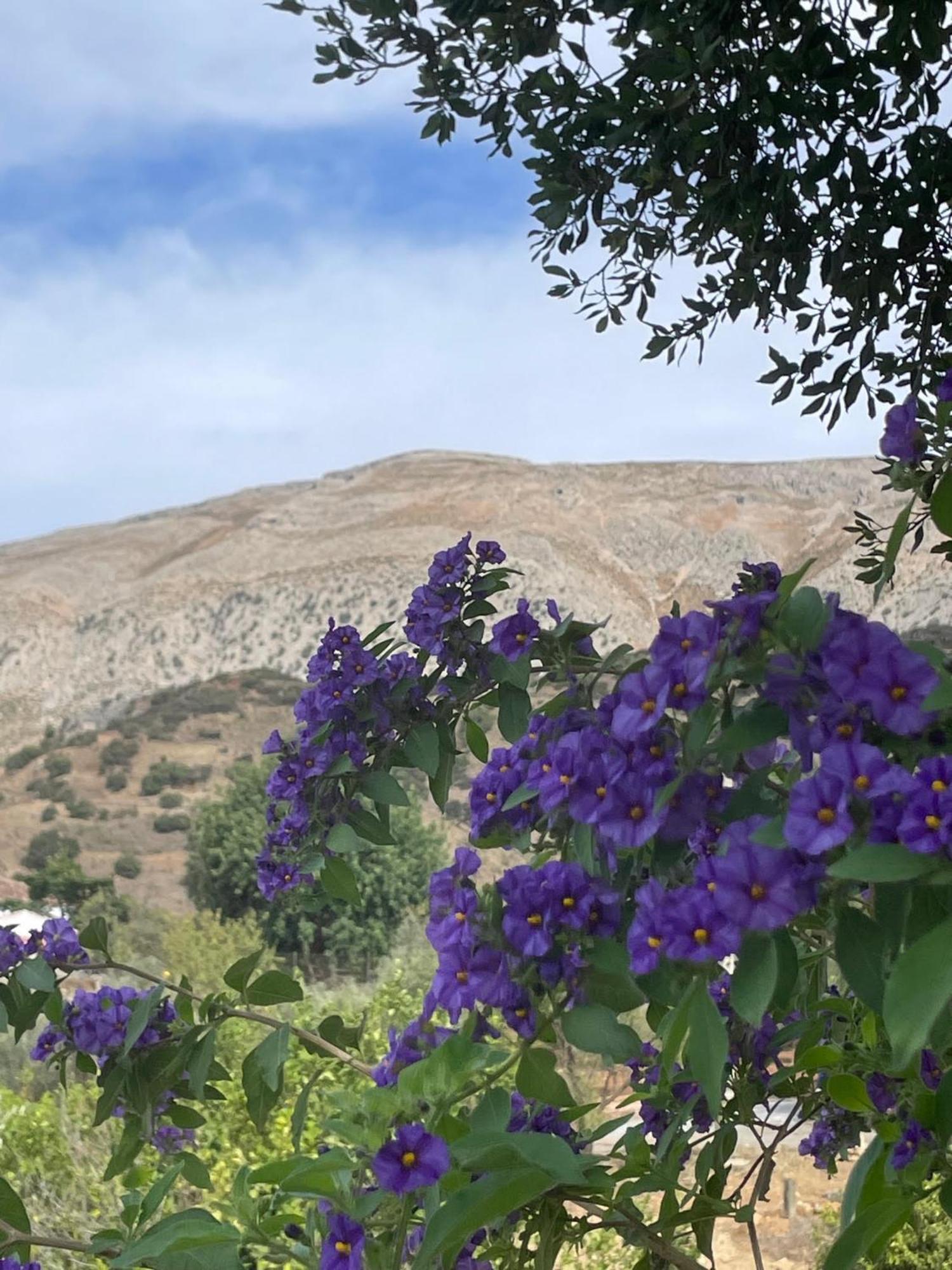 Finca Valle Verde Alora Exteriér fotografie