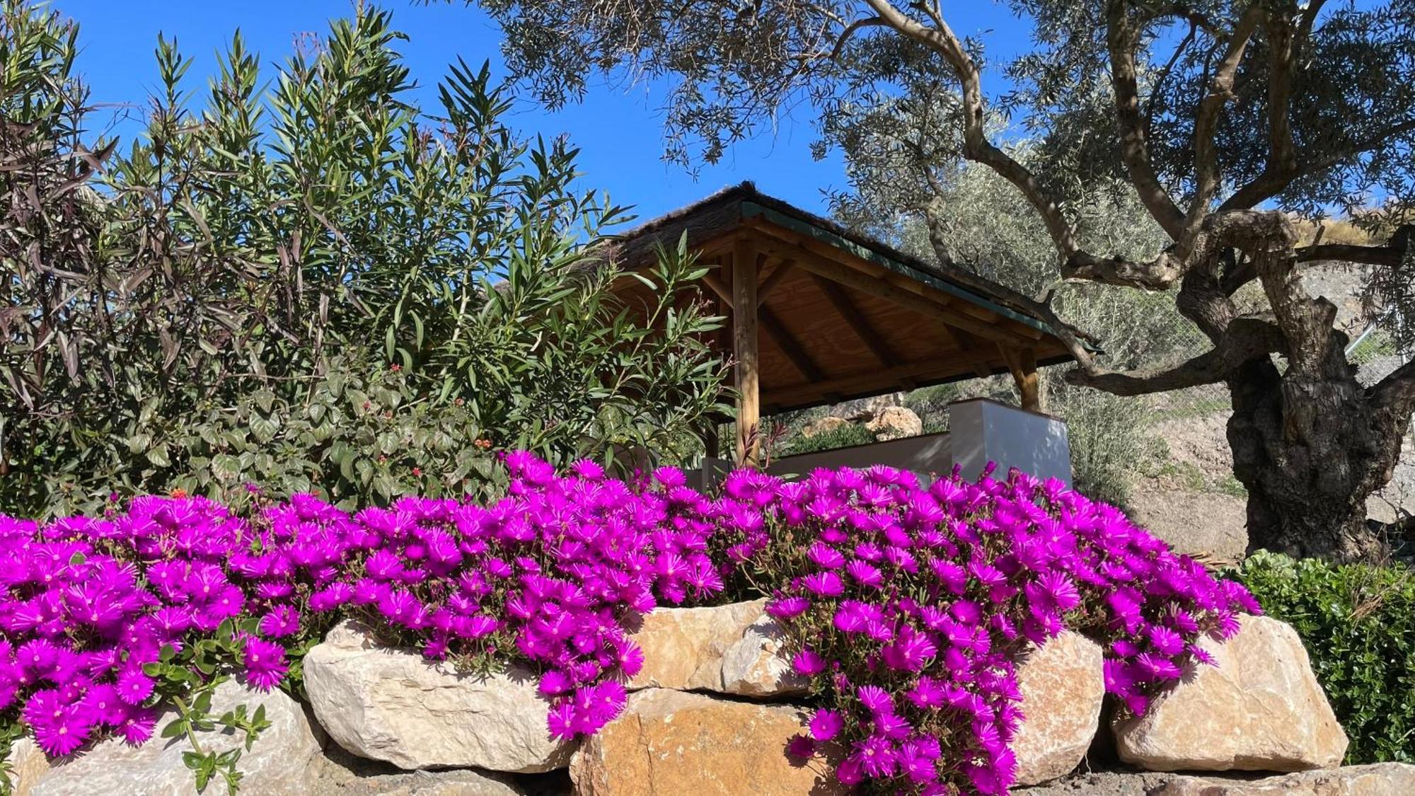 Finca Valle Verde Alora Exteriér fotografie